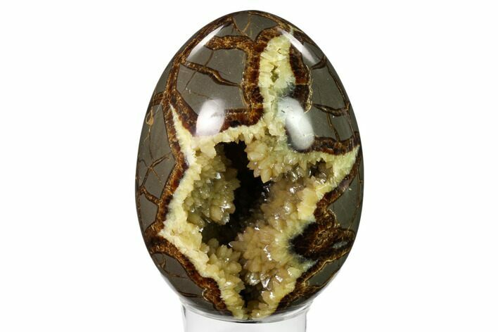 Calcite Crystal Filled Septarian Geode Egg - Utah #149940